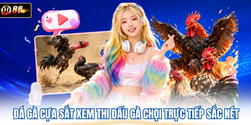 Đá gà cựa sắt xem thi đấu gà chọi trực tiếp sắc nét